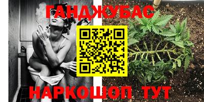 сатива Коммунар