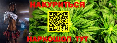 сатива Коммунар