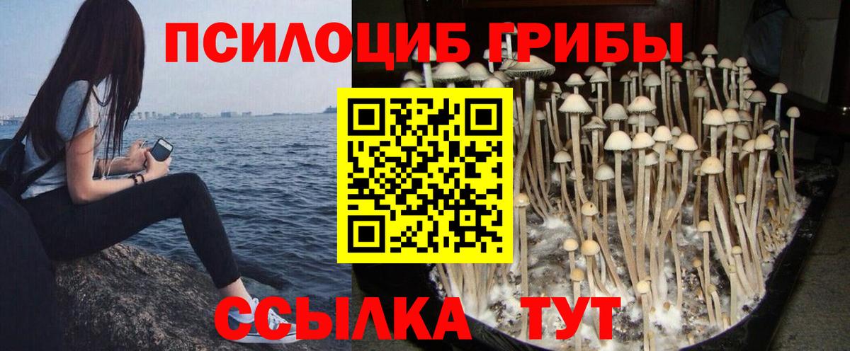 Псилоцибиновые грибы прущие грибы Карпинск