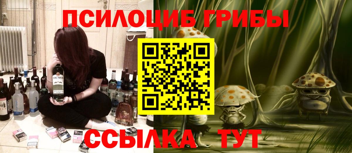 Карпинск  Псилоцибиновые грибы Psilocybe  Вход с VPN 